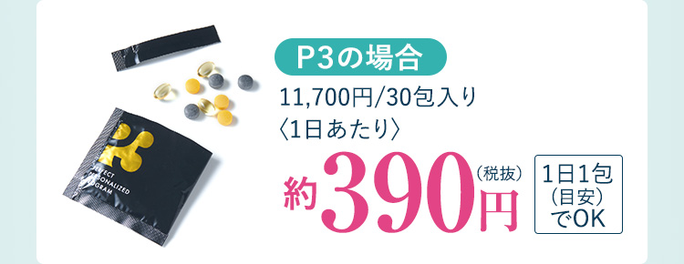 P3の場合1日あたり約390円
