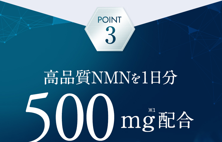 POINT3 高品質NMNを1日分300mg 9000mg配合