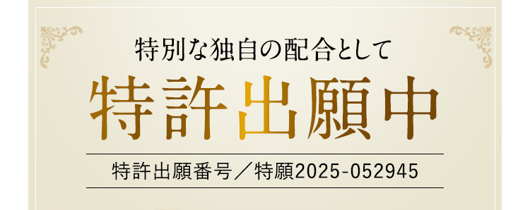 特許出願中