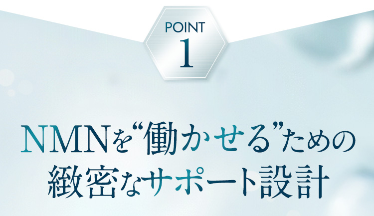 POINT1 NMNを働かせるための緻密なサポート設計