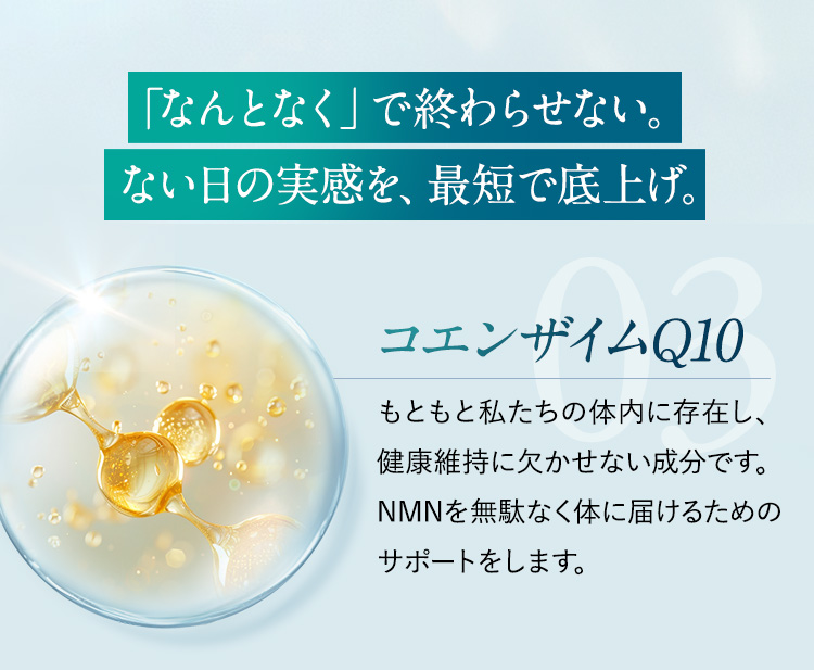 ない日の実感を最短で底上げ。コエンザイムQ10