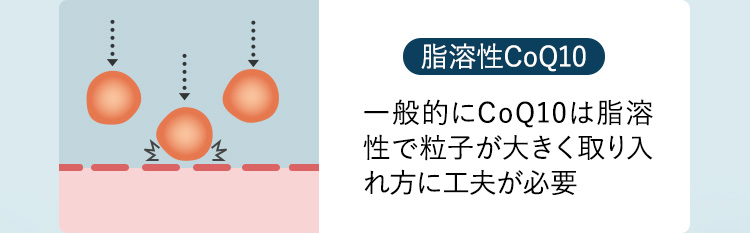 脂溶性CoQ10が浸透しないイラスト