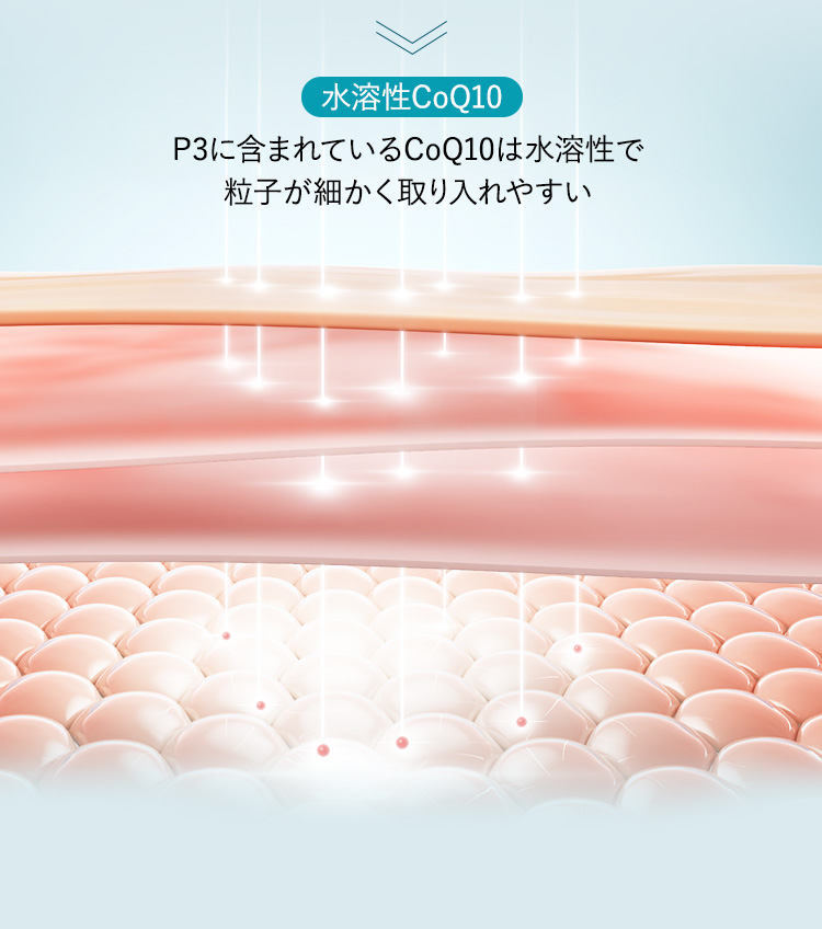 水溶性CoQ10が浸透するイメージ