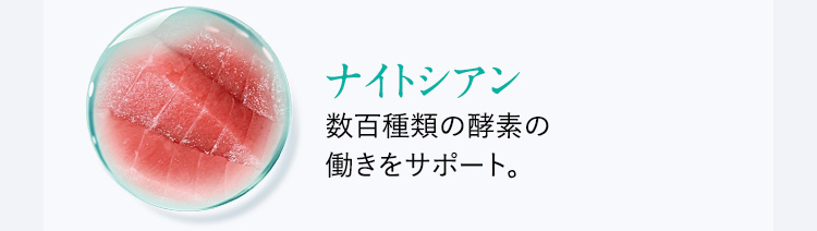 ナイトシアン
