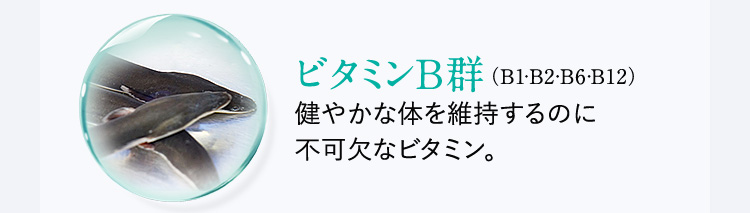 ビタミンB群