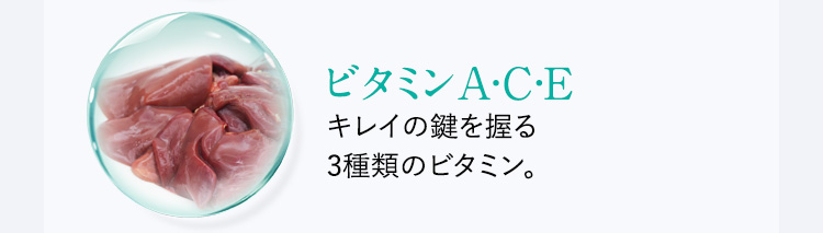 ビタミンA・C・E