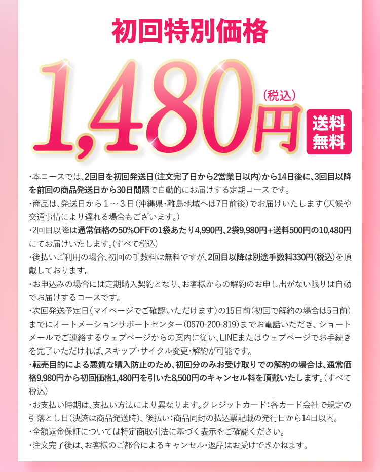 初回特別価格