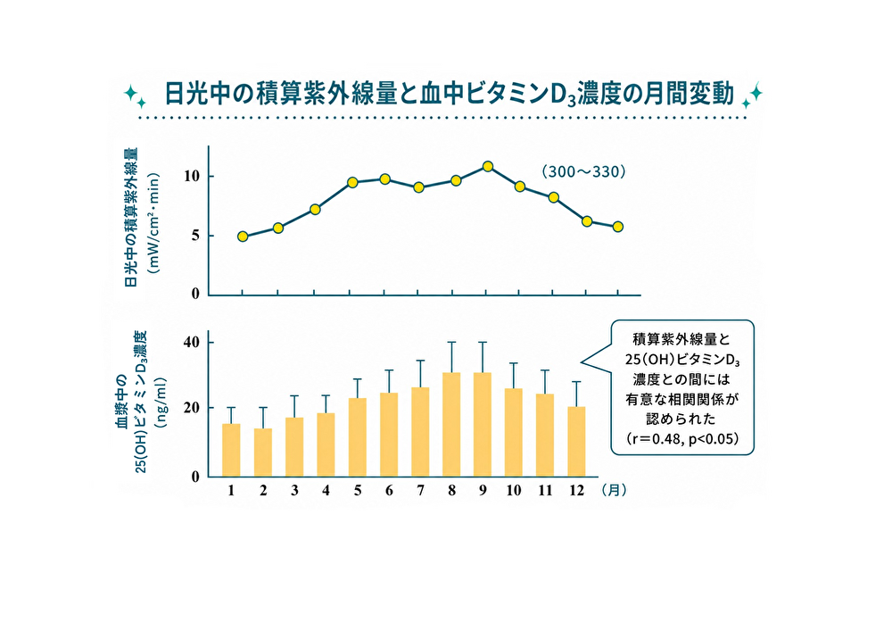 図4 日光中の積算紫外線量と血中ビタミンD3濃度の月間変動