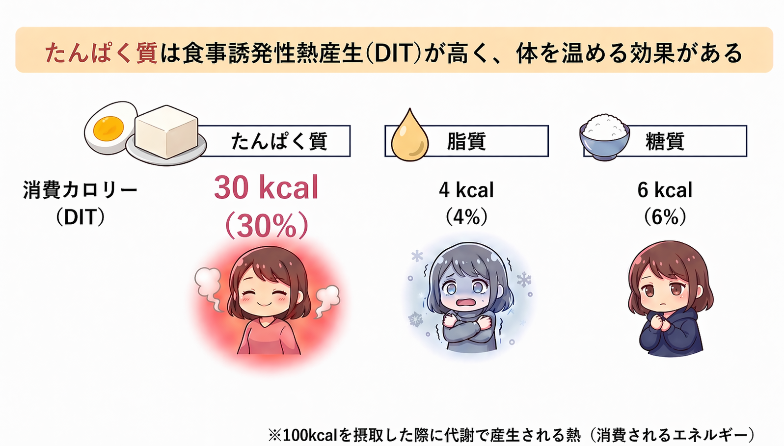 図4 たんぱく質は食事誘発性熱産生 DIT が高く体を温める効果がある