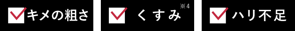 キメの粗さ くすみ※3 ハリ不足