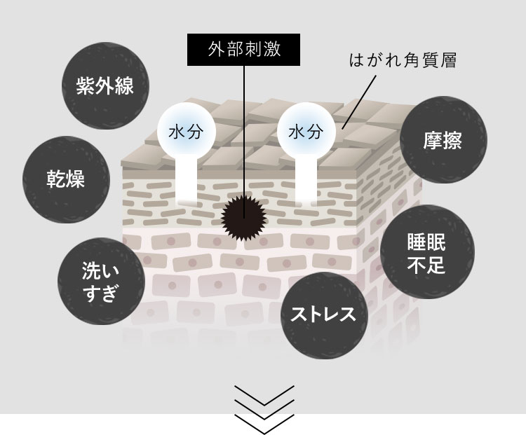 外部刺激を受けた肌の図