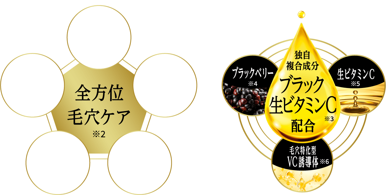 全方位ケア...つまり毛穴・たるみ毛穴・開き毛穴・黒ずみ毛穴・乾燥毛穴 | 独自複合成分ブラック生ビタミンC配合...ブラックベリー・生ビタミンC・毛穴特化型VC誘導体