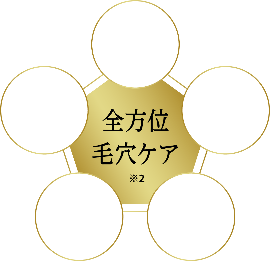 全方位ケア...つまり毛穴・たるみ毛穴・開き毛穴・黒ずみ毛穴・乾燥毛穴
