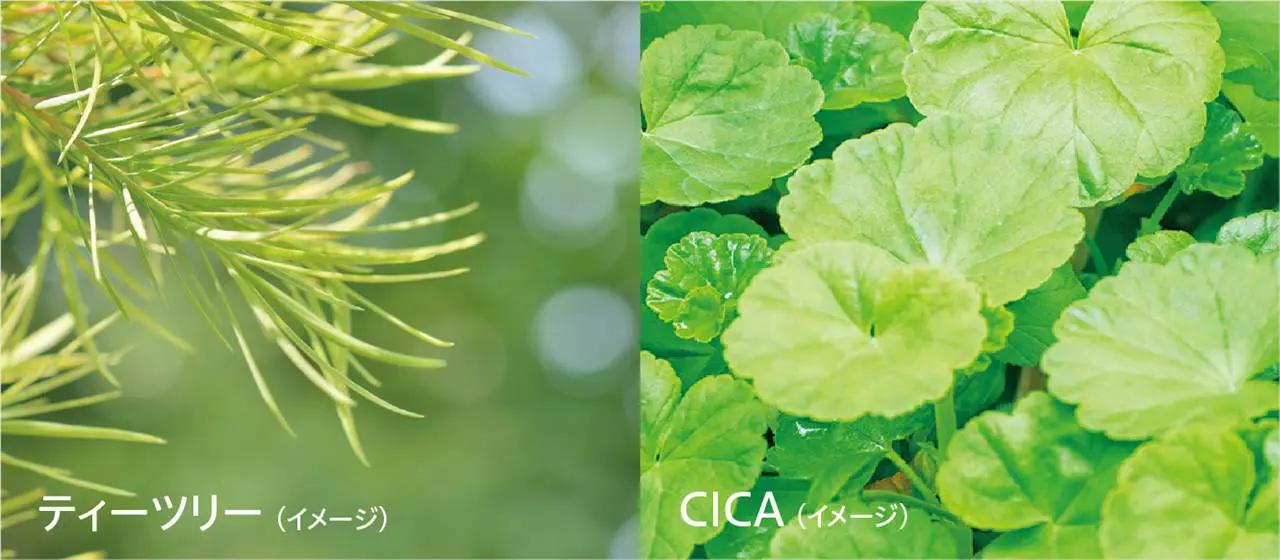 ダーマレーザー* ショットX スーパーTEATREE100＋CICAシート