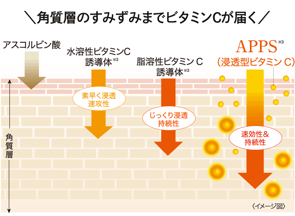 ダーマレーザー* スーパーVC100ローション しっとり