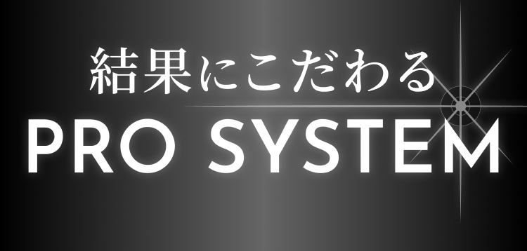 結果にこだわるPRO SYSTEM
