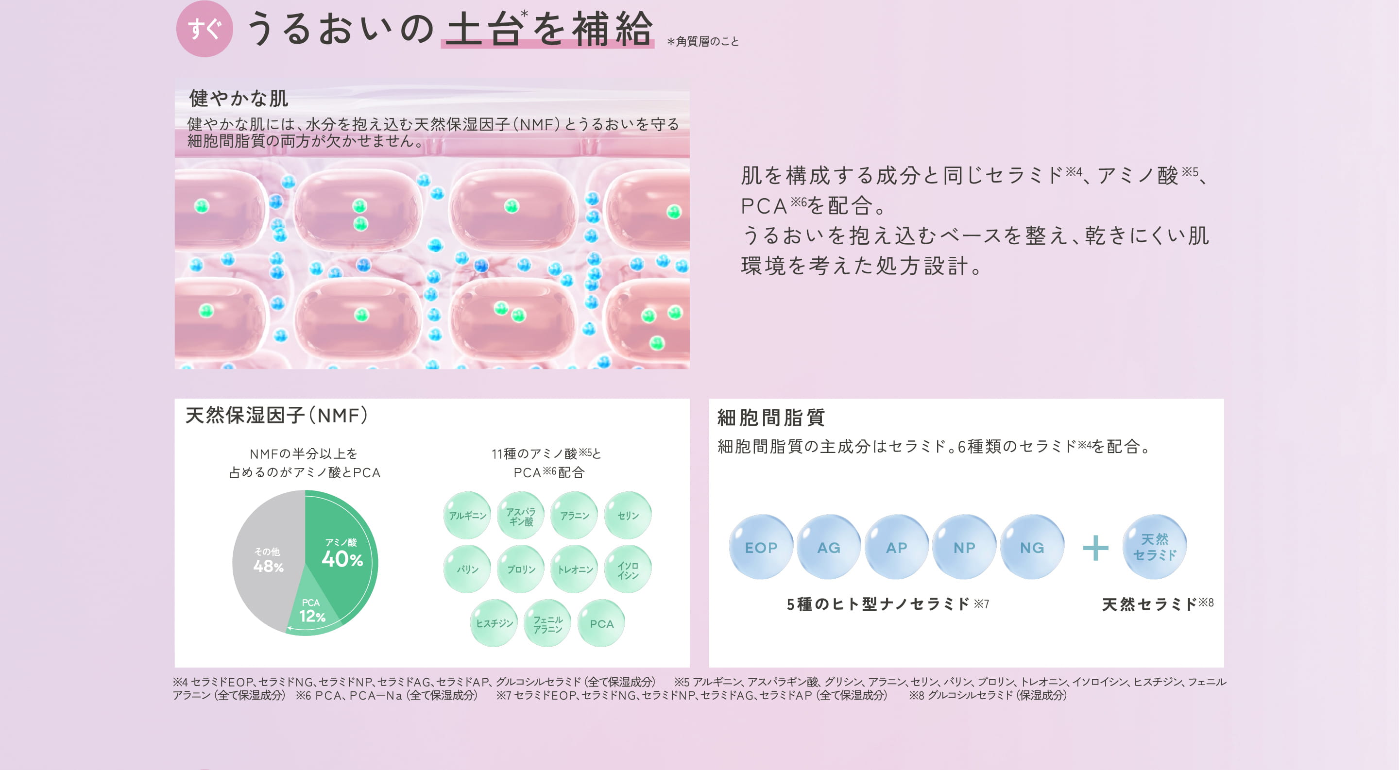 ザ・ダーマの特長