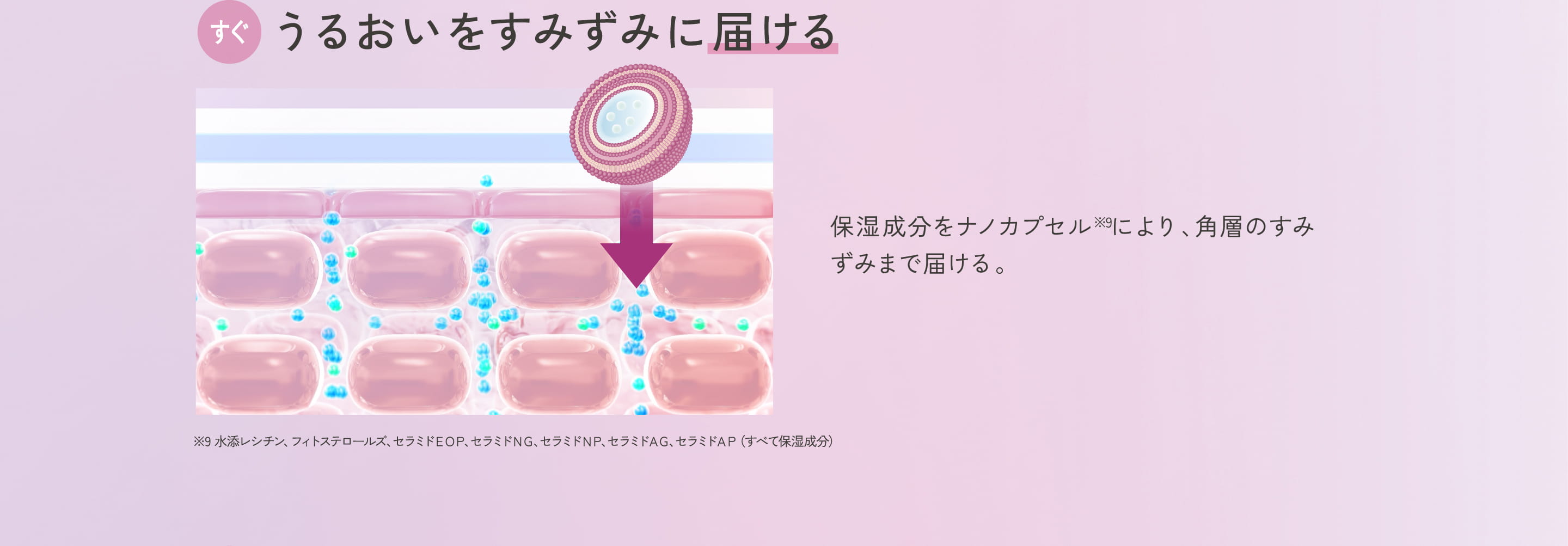 ザ・ダーマの特長