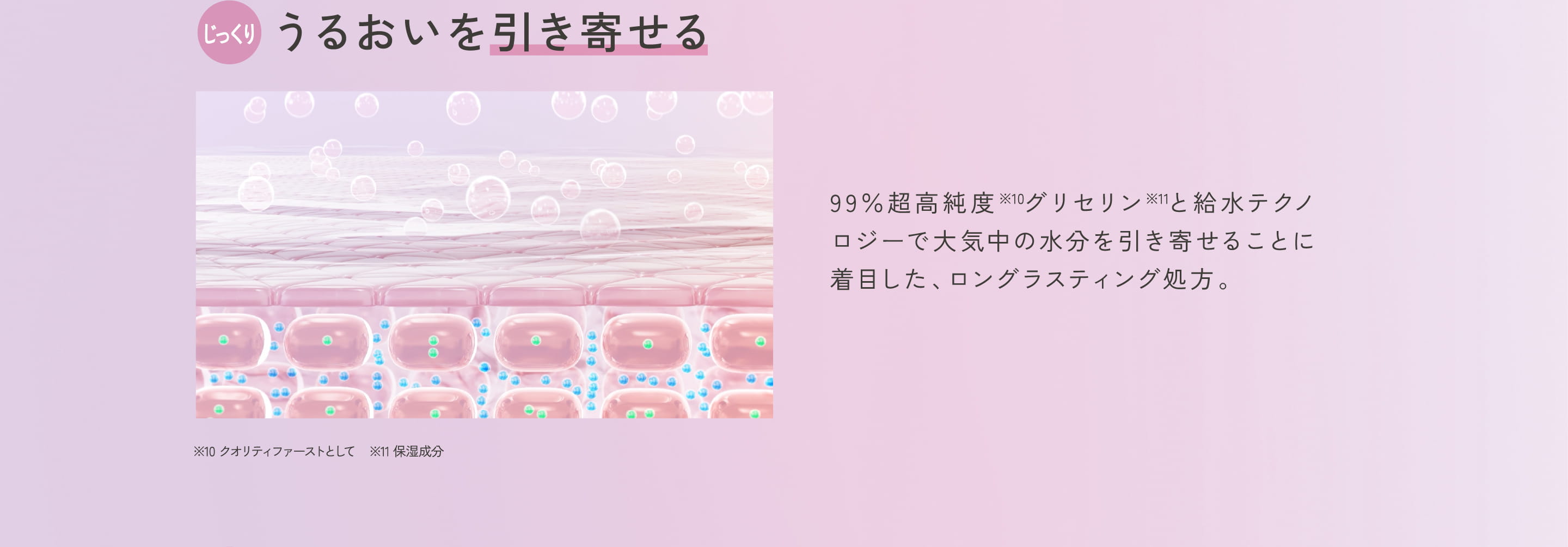 ザ・ダーマの特長