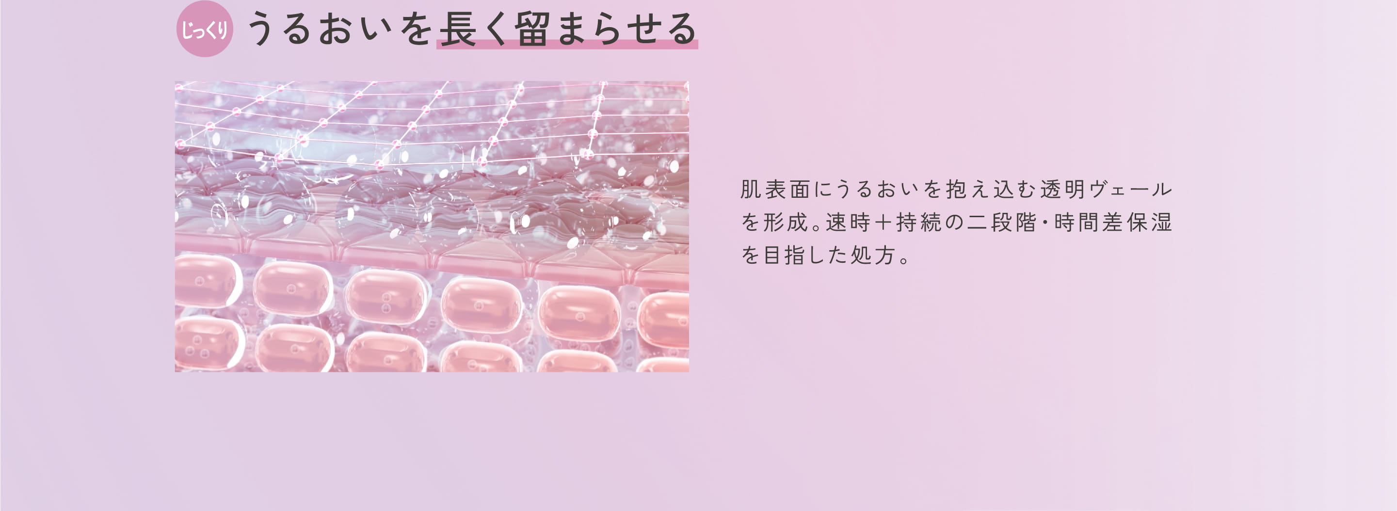 ザ・ダーマの特長