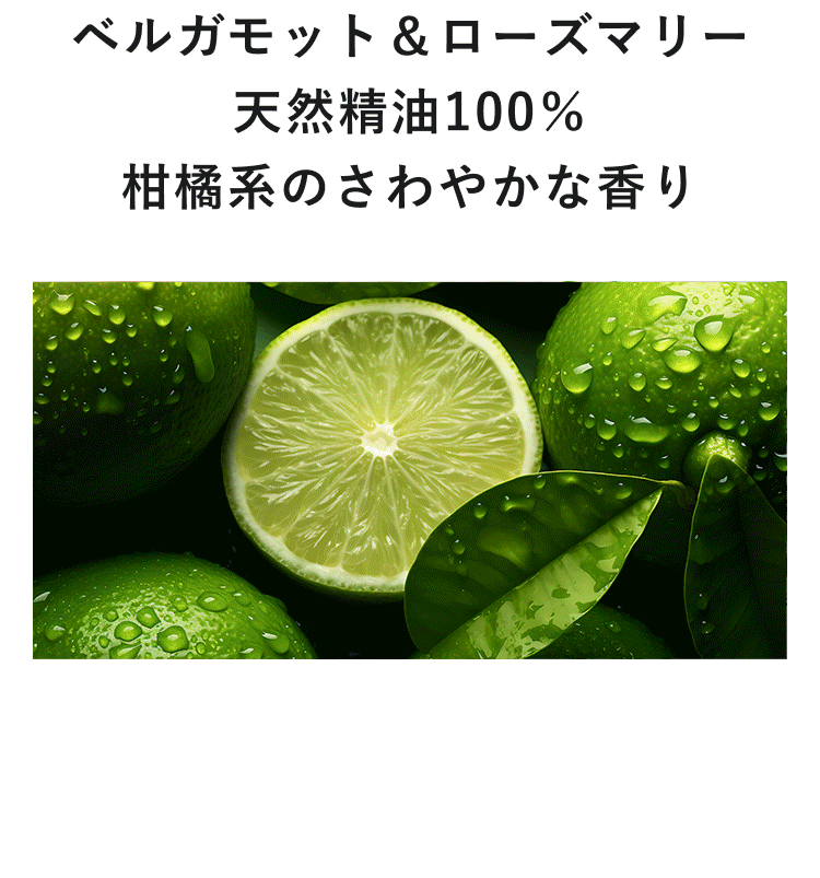 ボタニカル オイルコントロール & スキンコンディショナーS | クワトロ