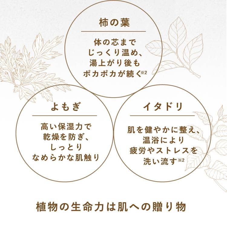 植物の生命力は肌への贈り物