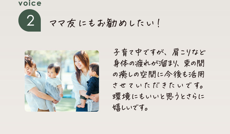 voice 2