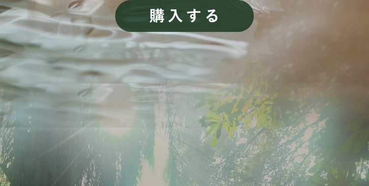 購入する