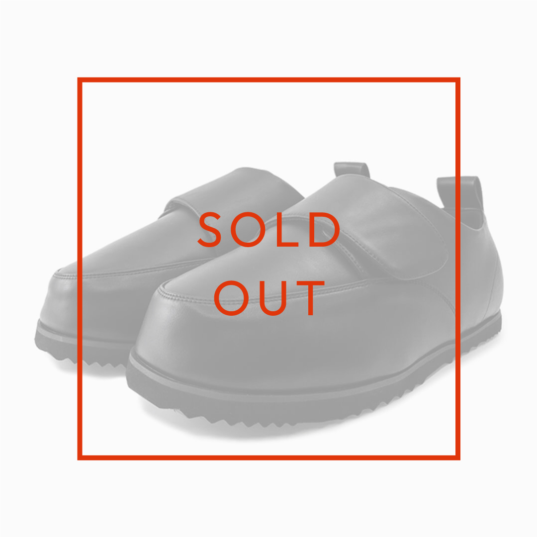 イージーシューズ2