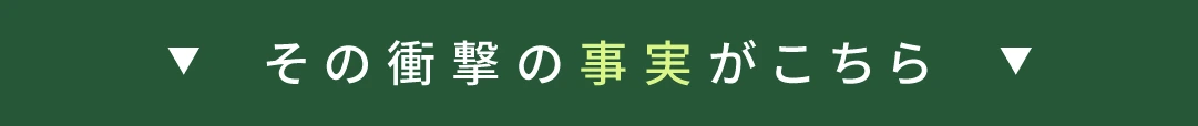 その衝撃の事実はこちら
