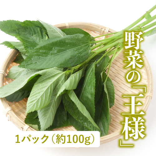 有機モロヘイヤ（茨城県産）