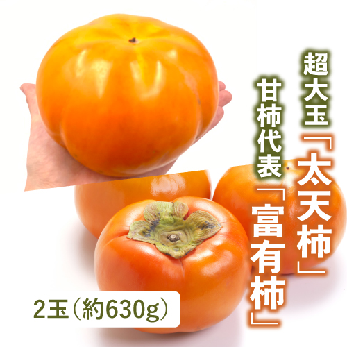 おすすめ柿食べ比べセット（愛媛県産・奈良県産）