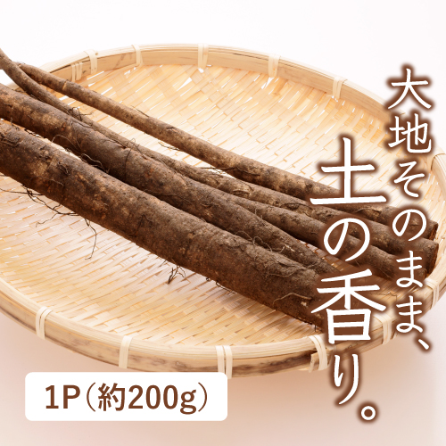 有機ごぼう（宮崎県産）