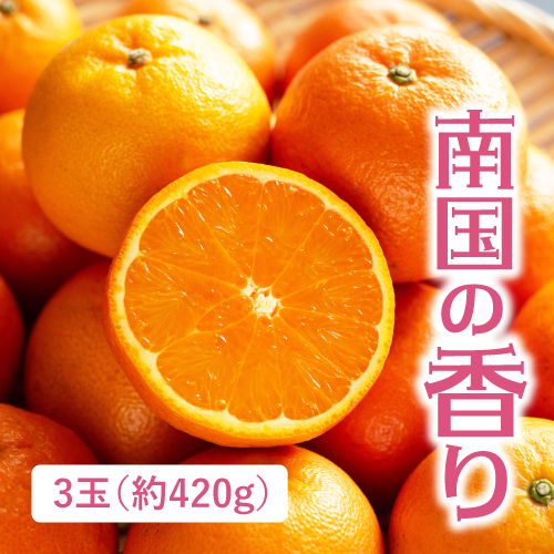 屋久島たんかん（鹿児島県産）