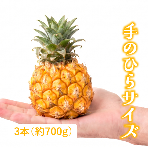 てのひらパイン（沖縄県産）