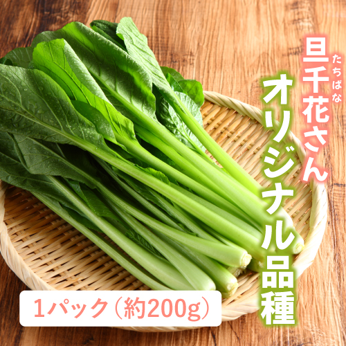 江戸菜（千葉県産）