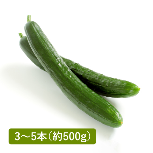 きゅうり(宮崎県産)