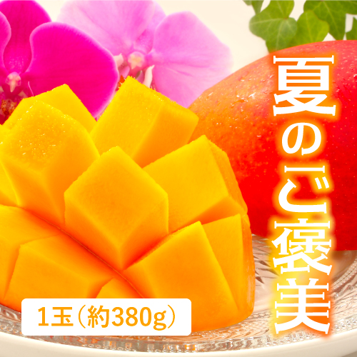 沖縄マンゴー（沖縄県産）