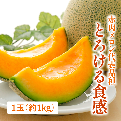 クインシーメロン（熊本県産）