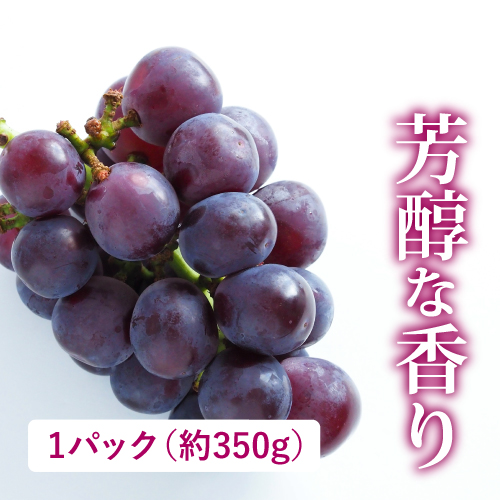 ハウスピオーネ（山梨県産）