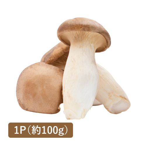 エリンギ(長野県産)