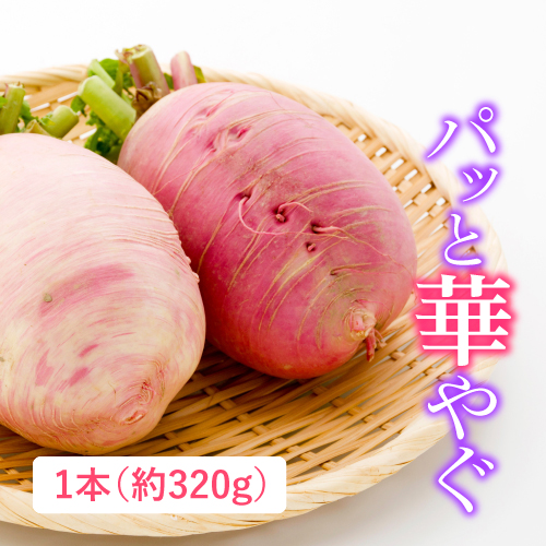 有機紅しぐれ大根（茨城県産）