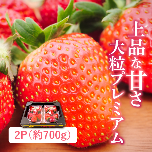 スカイベリー（栃木県産）