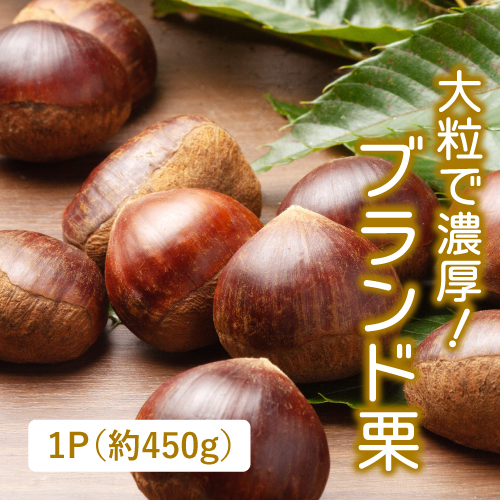 志士庫栗（茨城県産）