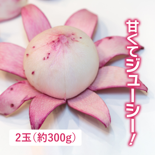 有機もものすけかぶ（茨城県産）