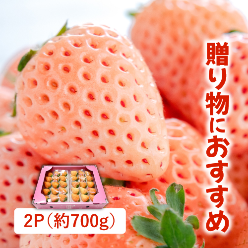 淡雪（佐賀県産）