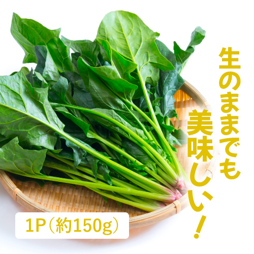 有機ほうれん草（茨城県産）