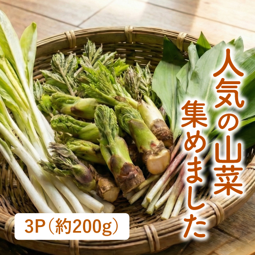 季節の山菜3点セット（行者にんにく、魚沼うるい、たらの芽）（山形県産・新潟県産）