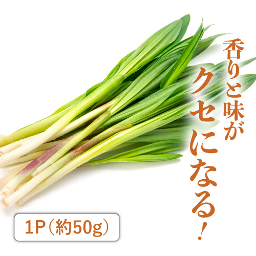 山形行者にんにく（山形県産）