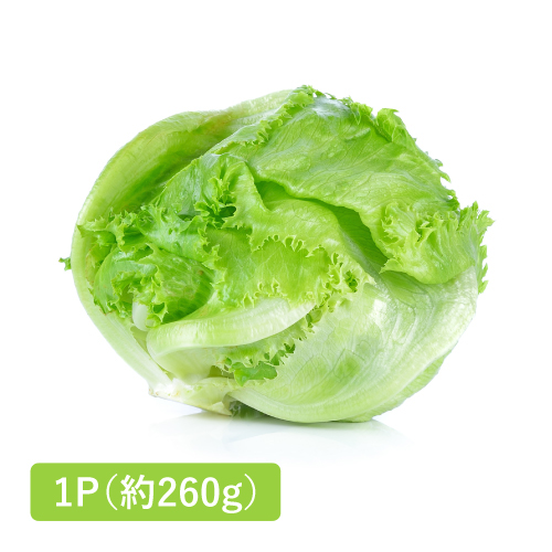 レタス(沖縄県産)